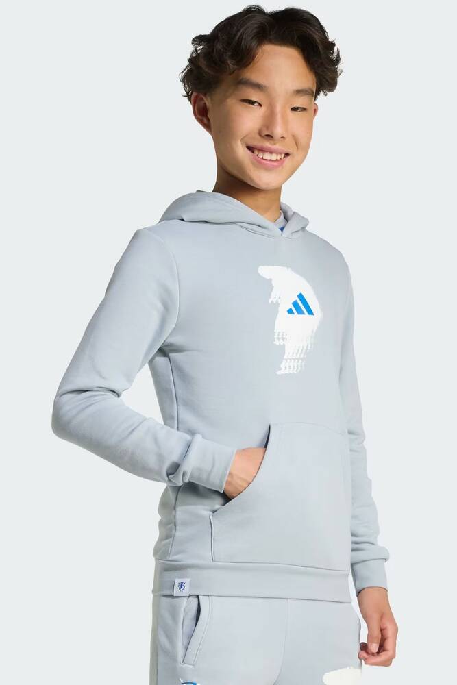 Çocuk JB CW Sweat JX3965 Gri 