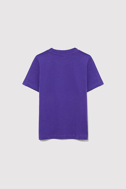 Erkek Çocuk Mavi Logo Baskılı Tişört 6610030-70692 Mor (3)
