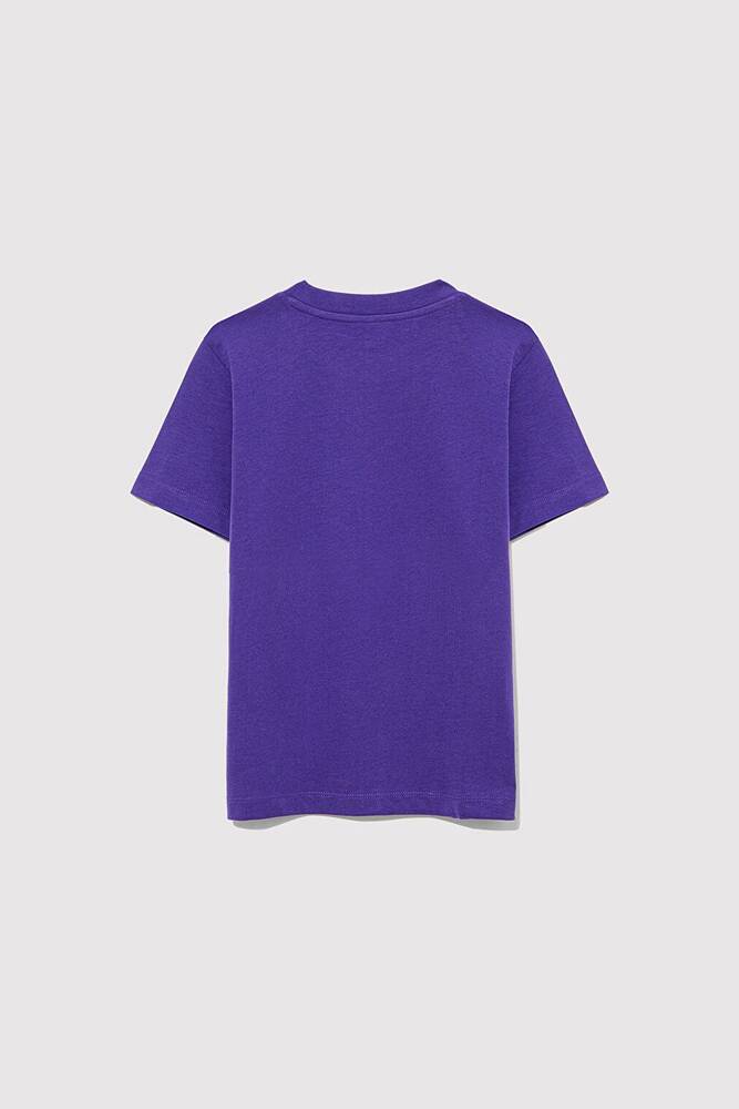 Erkek Çocuk Mavi Logo Baskılı Tişört 6610030-70692 Mor 