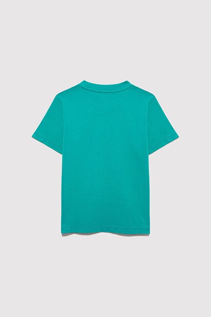 Erkek Çocuk Mavi Logo Baskılı Tişört 6610030-71711 Yeşil - Thumbnail