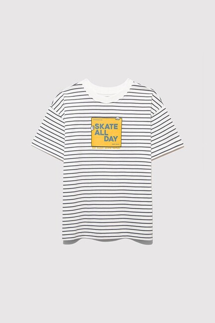 Erkek Çocuk Skate All Day Baskılı Tişört 6610263-89187 Gri (3)