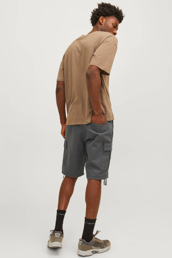 Erkek Cole Barkley Cargo Şort 12248685 Gri 