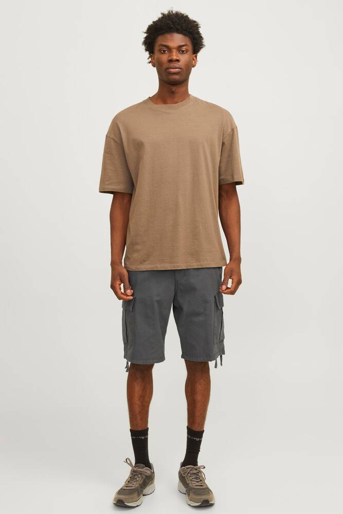 Erkek Cole Barkley Cargo Şort 12248685 Gri 