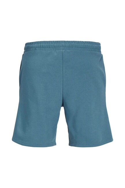 Erkek Gordon Star Şort 12248831 Mavi (2)