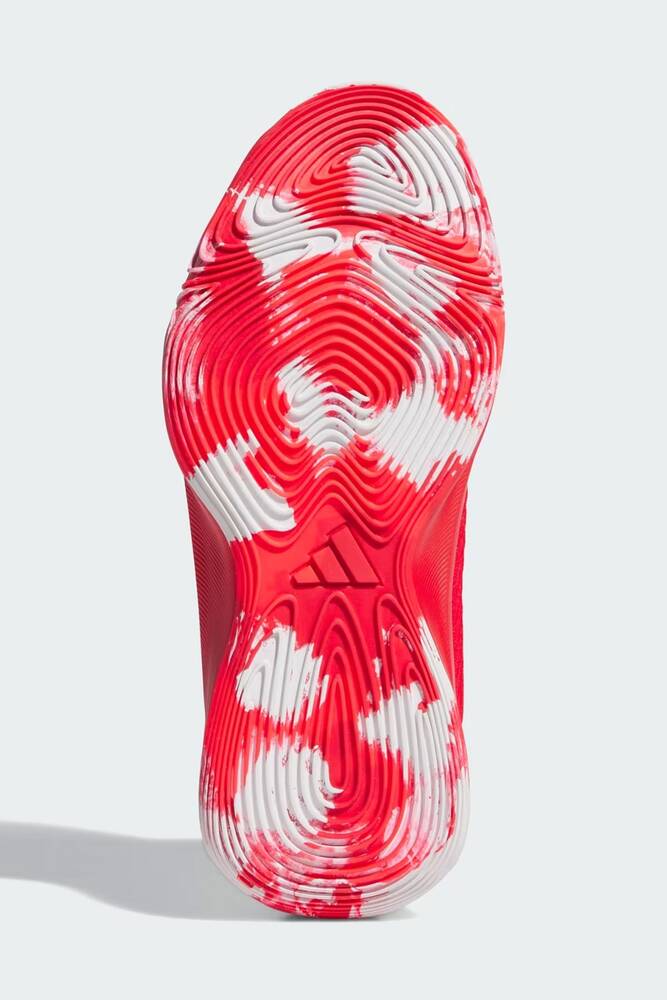 Erkek Initiation Basketbol Ayakkabısı JQ6859 Kırmızı 