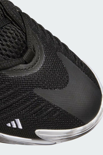 Erkek Initiation Basketbol Ayakkabısı JQ6862 Siyah - Thumbnail