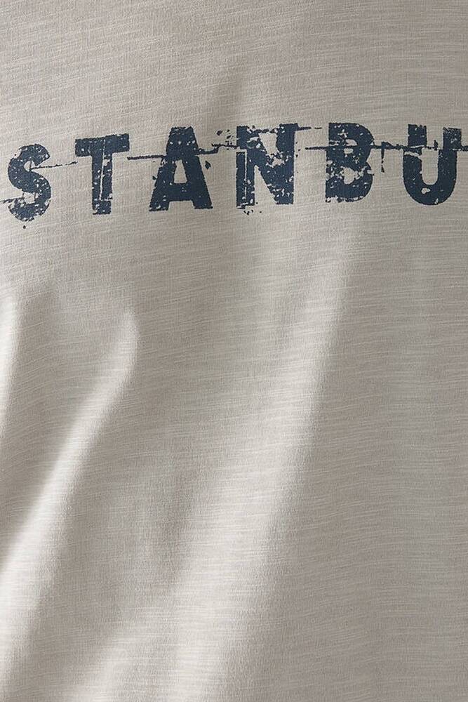 Erkek İstanbul Tişört 066282-31935 Gri 