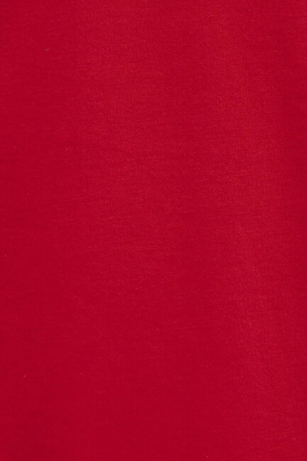 Erkek Mavi Baskılı Tişört 066841-33099 Kırmızı - Thumbnail