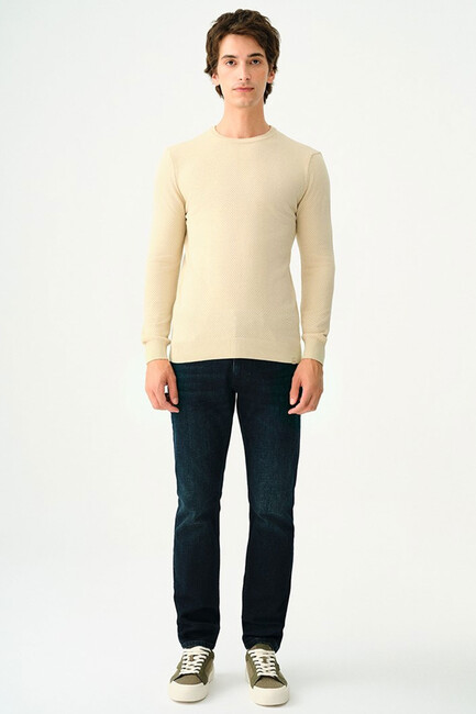 Erkek Regular Fit Kazak LF2030179 Bej (3)