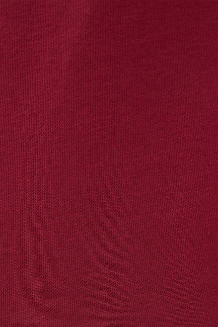 Erkek Regular Fit Sweatshirt LF2034268 Kırmızı - Thumbnail