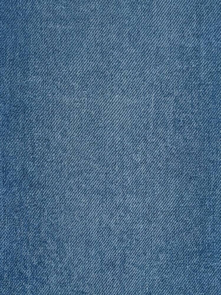 Kadın Camelia Jean Pantolon LF2043058 Mavi 