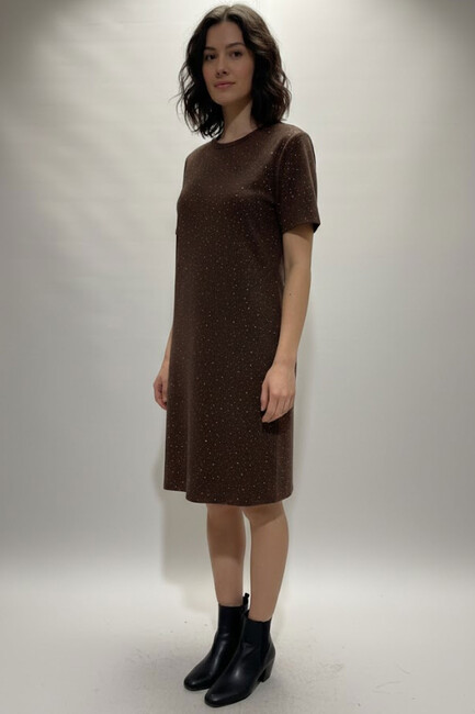 Kadın Elbise 19062121 Kahve (2)