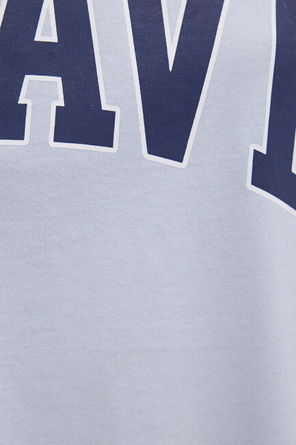 Kadın Mavi Baskılı Tişört 1600843-70717 Mavi - Thumbnail