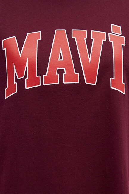 Kadın Mavi Baskılı Tişört 1600843-90705 Bordo - Thumbnail