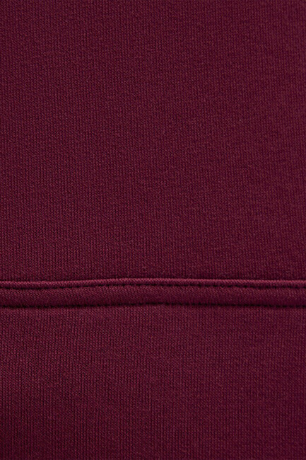 Kadın Mavi Kapüşonlu Sweat 1600361-90705 Bordo - Thumbnail