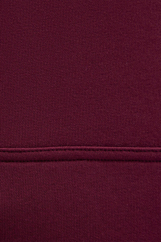 Kadın Mavi Kapüşonlu Sweat 1600361-90705 Bordo 