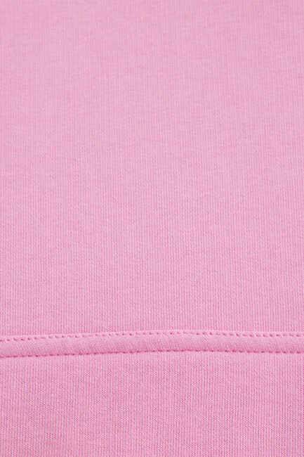 Kadın Mavi Logo Baskılı Sweat 1600361-71038 Pembe - Thumbnail