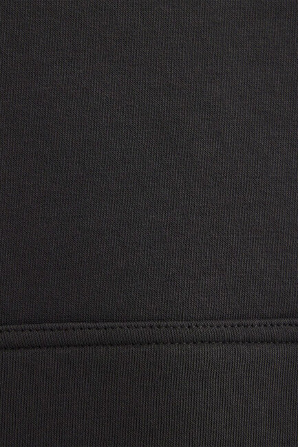 Kadın Mavi Logo Kapüşonlu Sweat 1600361-80106 Gri - Thumbnail