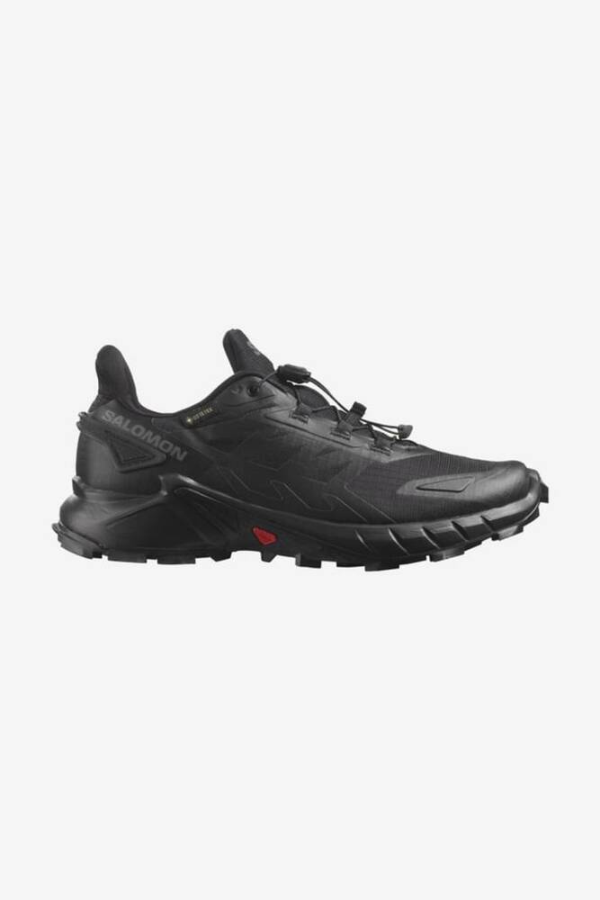 Kadın Thundercross GTX Koşu Ayakkabısı L47383500 Siyah 